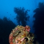 2014 Bali 25